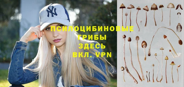 2c-b Баксан