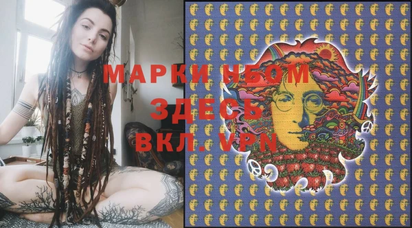 шишки Белоозёрский