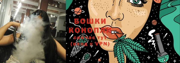 шишки Белоозёрский