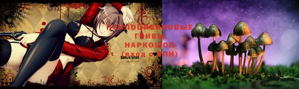 а пвп мука Богданович