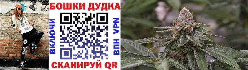 Конопля Amnesia Мариинский Посад